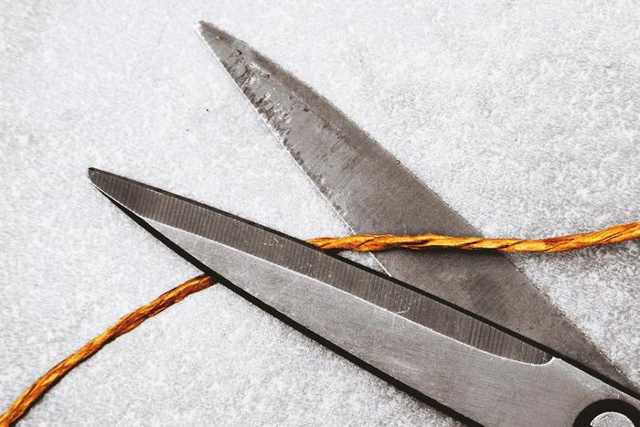 Bonkers Nipple Ring Story Traumatizes the Internet