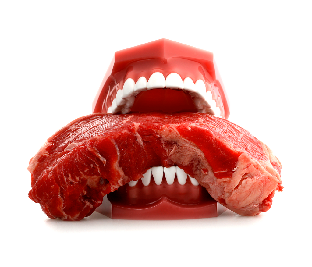 Inside the All-Meat Carnivore Diet