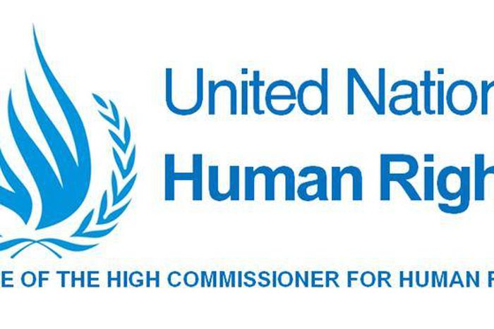 Office of the UN High Commissioner for Human Rights (OHCHR)