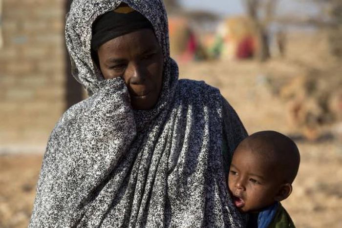 Food and Agriculture Organization (FAO)