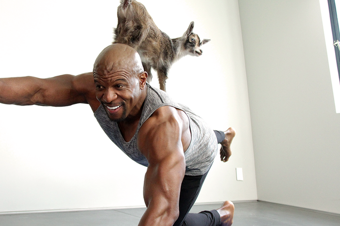 Terry Crews Tries Goat Yoga for the First Time