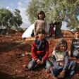 Dozens of families have set up camp in the fields of Atme