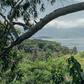 The Lake Kivu island of Idjwi in DR Congo is a haven of peace in a region where dozens of armed groups have operated for decades