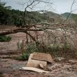 A Brazilian farmer (pictured October 2016) walks through the Paracatu de Baixo village, which was ruined by the flood following the collapse of Brazilian mining company Samarco's iron ore waste reservoir in 2015
