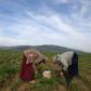 Tunisia's agricultural sector relies heavily on low-paid day labourers, many of them women, who work in often arduous conditions