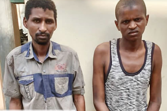 Adamu are members of a kidnap gang in Kaduna. The gang killed two policemen and abducted two expatriates. (Punch)