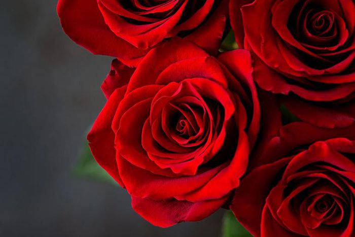 Dr. Pimple Popper Pops 'Rose' Cyst In Armpit