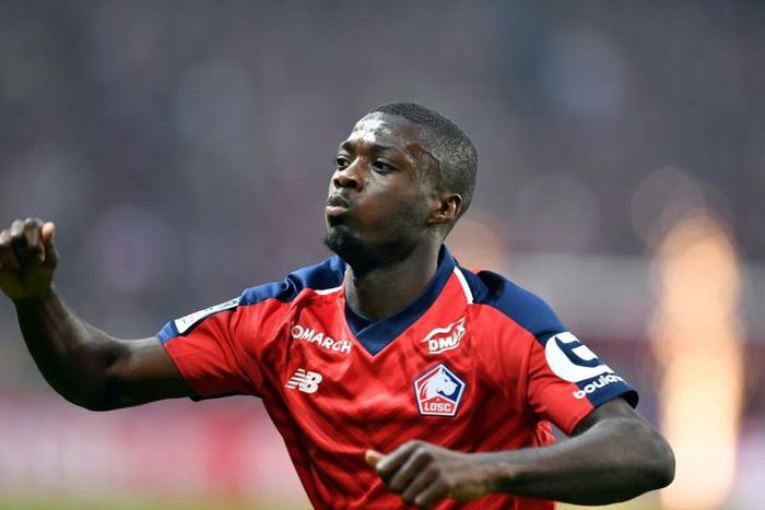 Target man: Lille's Ivorian forward Nicolas Pepe has offers from Arsenal and Napoli