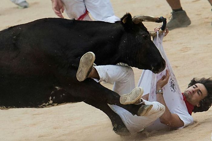 Bulls gored eight people during this year's San Fermin festival -- and others had narrow escapes