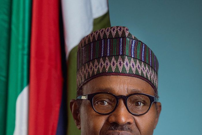 New Official Portrait Of Mr President.President Muhammadu Buhari (Twitter/ @OfficialOSGFNG)