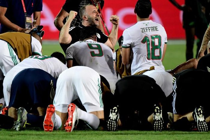 Algeria coach Djamel Belmadi (C) celebrates a win that put his team through to the Africa Cup of Nations final