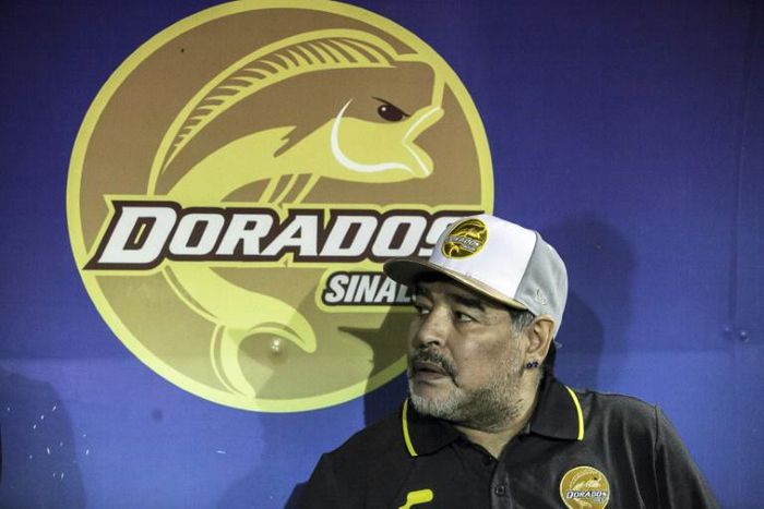 Diego Maradona has resigned as coach of Mexican second-division club Dorados
