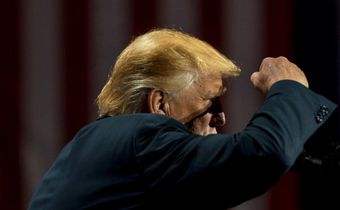Corn as high as Donald Trump's tie