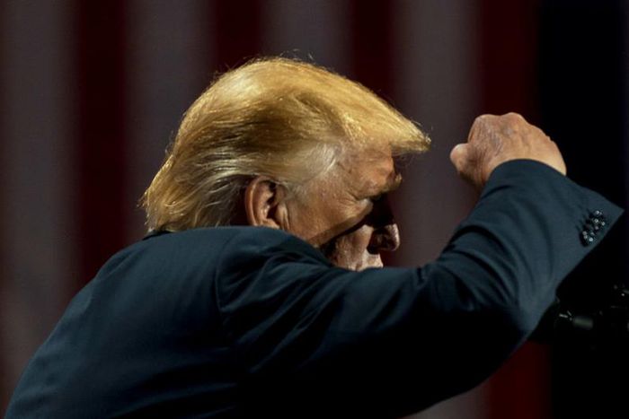 Corn as high as Donald Trump's tie