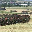British troops march through a cornfield on the border with neighbouring Macedonia, headed into Kosovo on 11 June 1999 as part of a NATO ground force