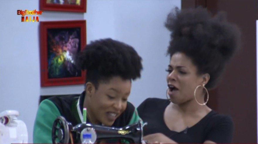 BBNaija 2019 housemates (Twitter/Big Bro Naija)