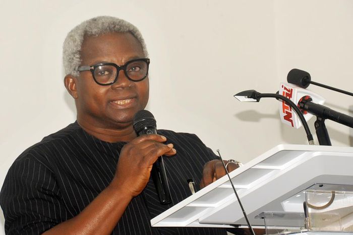 The Director-General of Voice of Nigeria (VON), Mr Osita Okechukwu (The Sun)