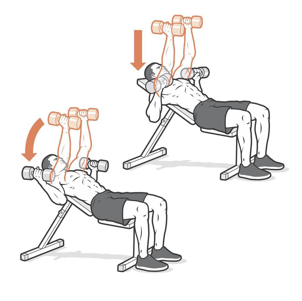 Build Muscle at Home With This Dumbbell Workout