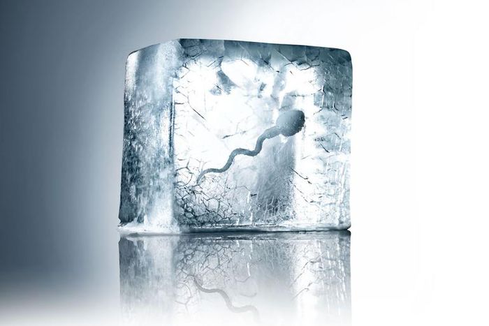 Does Sperm Really Go Bad in Your 40s?