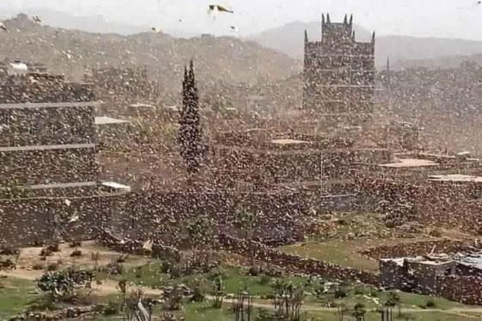 Food and Agriculture Organization (FAO)