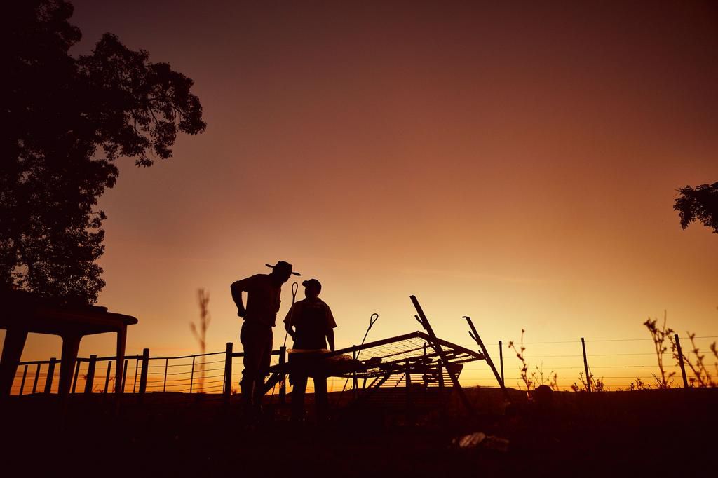 Why You Should Make the Switch to Grass-Fed Beef