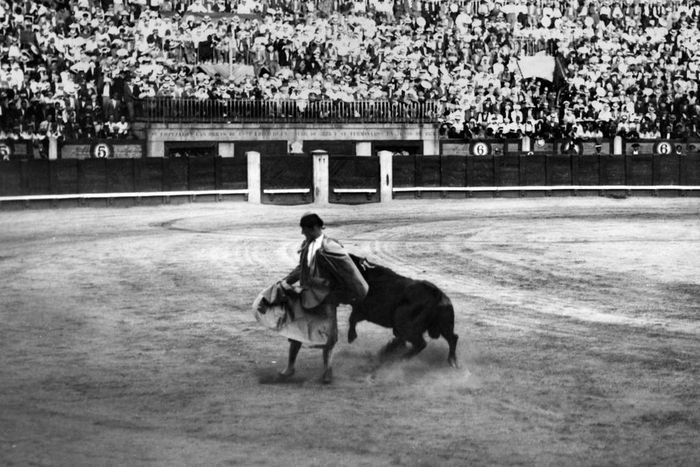 The Gay Jewish Matador from Brooklyn