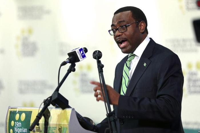 Akinwumi Adesina voted new President of the African Development Bank