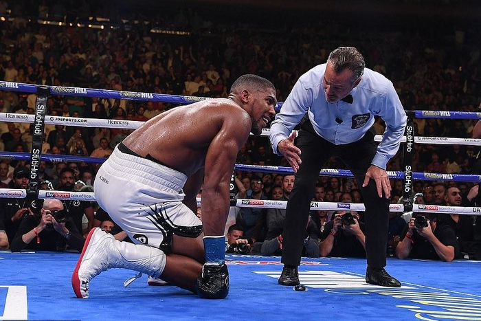 Anthony Joshua (Kevin Quigley/Daily Mail)