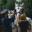 Horses have been bred for at least five centuries at the Czech Republic's national stud farm