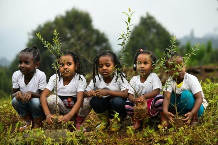 The government said a "record-breaking" 350 million trees were planted in a single day on Monday