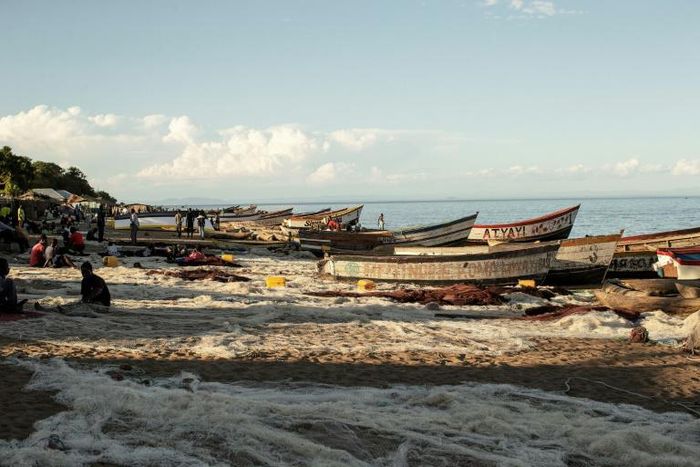 Malawian fishermen fix their fishing nets on the shores of Lake Malawi where fish stocks are falling due to overfishing and climate change
