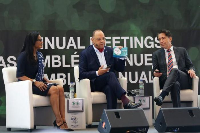 African Development Bank Group (AfDB)