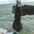 A photo of the Nazi eagle on the Admiral Graf Spee the day it was recovered in 2006