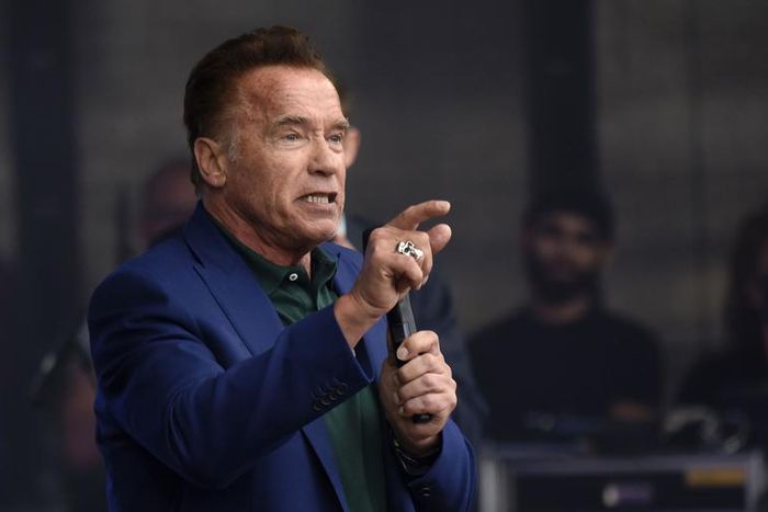 Action Star Arnold Schwarzenegger Is a Rapper Now