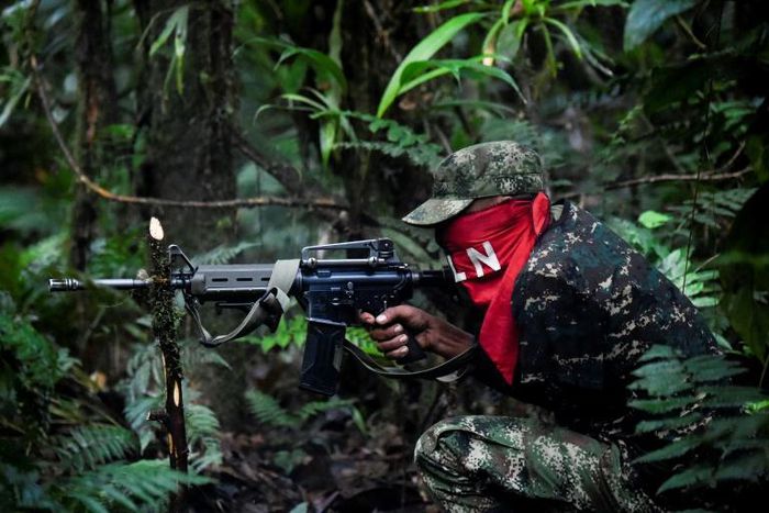 National Liberation Army guerrillas shoot during a training exercise in the jungle of Colombia's Choco department
