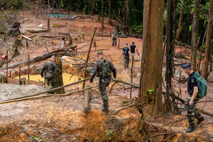 Every day, more than 500 soldiers, police and rangers are tasked with patrolling French Guiana's forests to try to drive out illegal gold mining