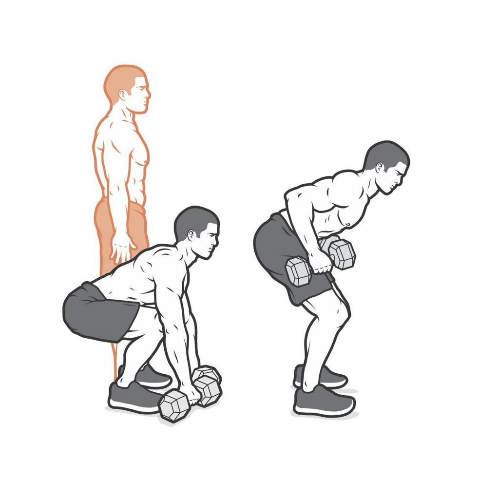 Build Muscle at Home With This Dumbbell Workout