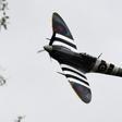 Of around 20,000 Spitfires built, fewer than 250 survive, with only 50 or so of those still airworthy.