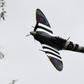 Of around 20,000 Spitfires built, fewer than 250 survive, with only 50 or so of those still airworthy.