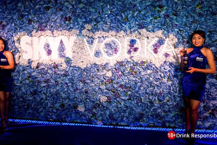 SKYY Vodka Thrills Abuja to the SKYY Experience. (SKYY Vodka)