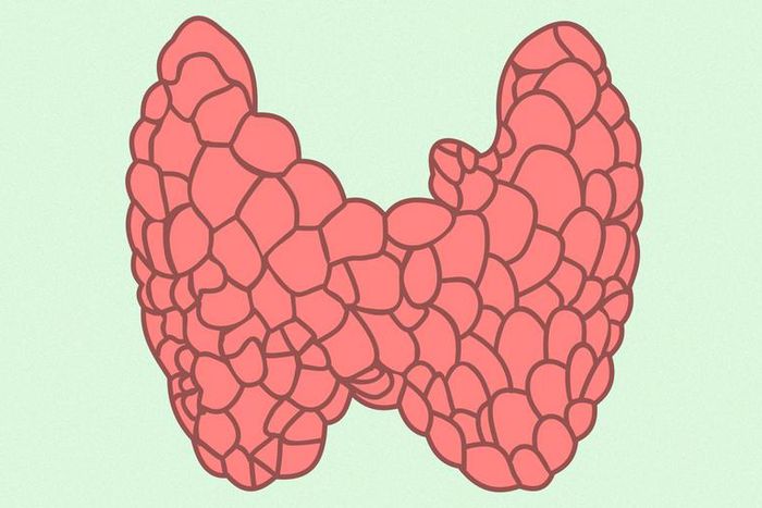 How To Lose Weight When You Have Hypothyroidism