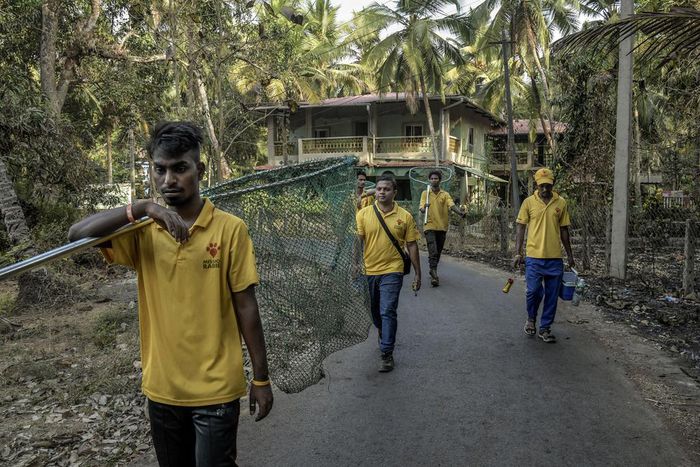Corralling Rabies, One Street Dog at a Time