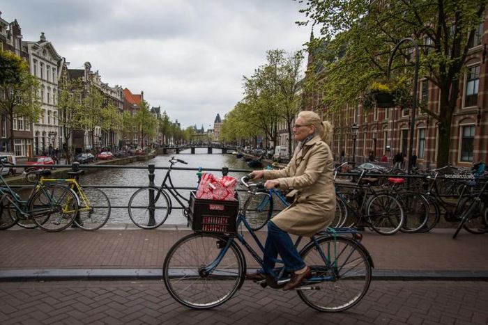 Cycling is a way of life in the Netherlands, but the use of mobile phones has been a growing hazard