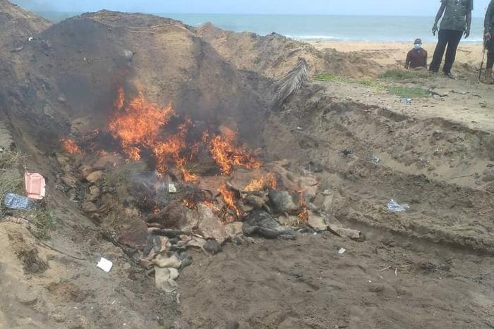Burning of intercepted animal skin by customs officials in Seme (NAN)