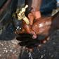 The Ebola outbreak in eastern Democratic Republic of Congo that began in August 2018 has so far killed 1,655 people and 694 have been cured by July 2019, according to a health ministry bulletin