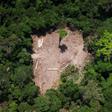 Brazilian President Jair Bolsonaro, a climate change sceptic, has accused the country's National Institute of Space Research of publishing misleading data on the environment