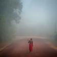 The Waiapi's territory has faced growing pressure from miners, ranchers and loggers under Bolsonaro