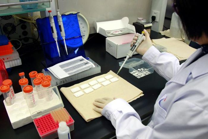 China has now halted human gene-editing using the Crispr techonology, after widespread outrage