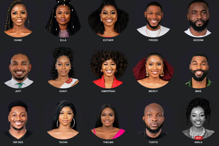 BBNaija Season 4 Housemates