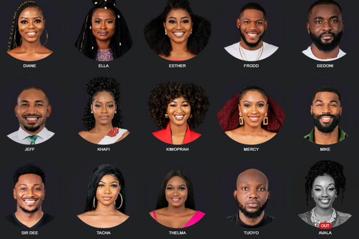 BBNaija Season 4 Housemates